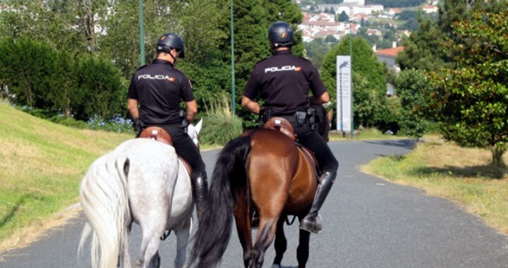 Busca alcalde la donación de caballos para conformar la policía montada