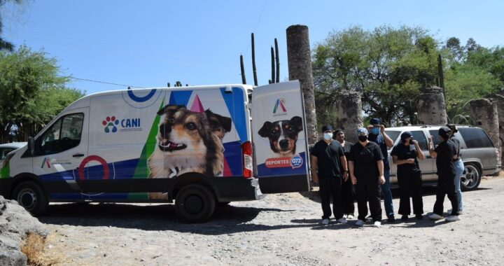 UG y CANI esterilizan caninos y felinos de Valencianita