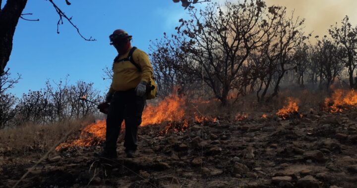 Ubican bomberos SIMUB a 3 hombres supuestos responsables de provocar incendios