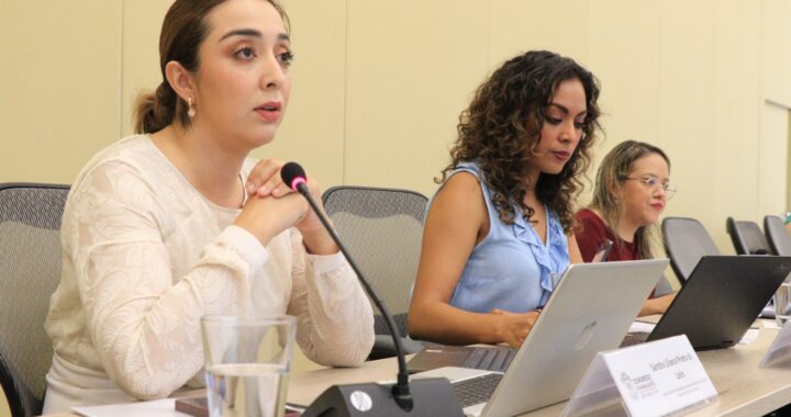 Muestra IEEG panorama legal para los procesos electorales