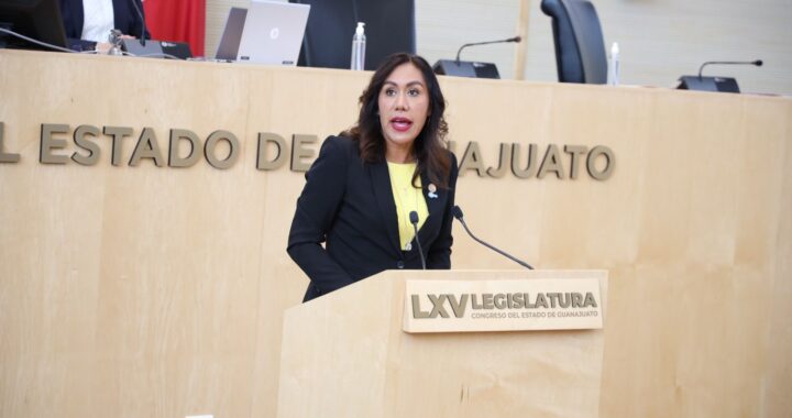 Reforma presentada por el PAN y PRI es un blindaje electoral