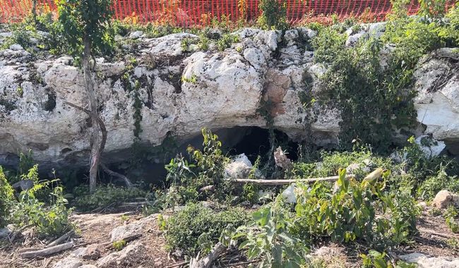 Al día de hoy, la cueva Dama Blanca se encuentra intacta, acordonada y se evalúan las medidas para su protección