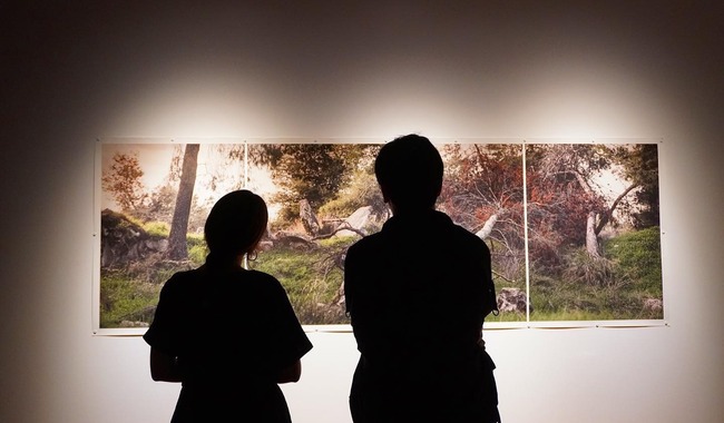 Harán recorrido guiado y taller de cianotipias, para conmemorar el Día Internacional de los Museos