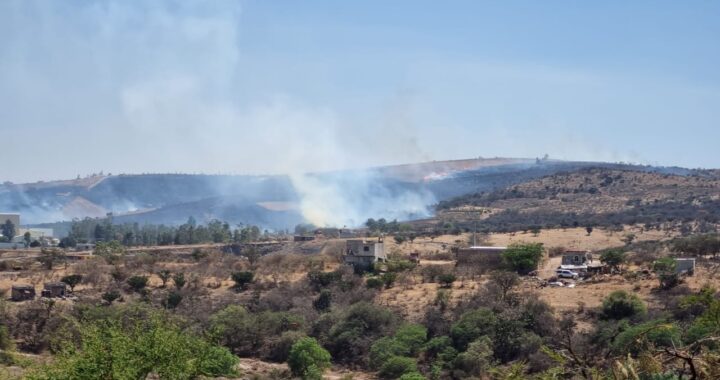 Se queman más de 140 hectáreas rumbo a Cristo Rey, sigue latente el incendio