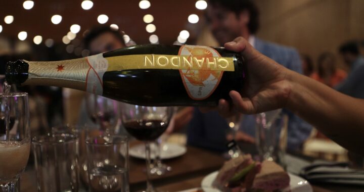 Vive el Vino: evento imperdible para los amantes del vino y la gastronomía en León
