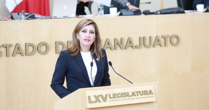 Es factible que la CEAIV opere el apoyo de atención médica prioritaria para buscadoras