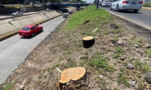 Apoyará Diego Sinhue a Alejandra Gutiérrez en su plan medio ambiental