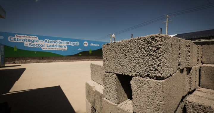 Busca Guanajuato reducir la producción del ladrillo rojo para cuidar al medio ambiente