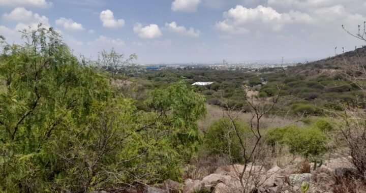 Anuncian otro parque Metropolitano para León, sería el tercero