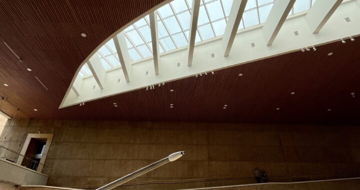 En el marco del programa de «Guanajuato, 200 años de grandeza», el Museo de Arte e Historia de Guanajuato inaugurará la exposición Pablo Vargas Lugo. Exceso solar