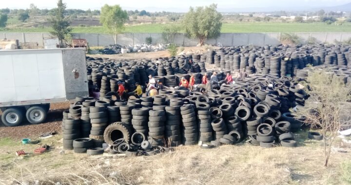 Retira SMAOT 483 toneladas de llantas SDF