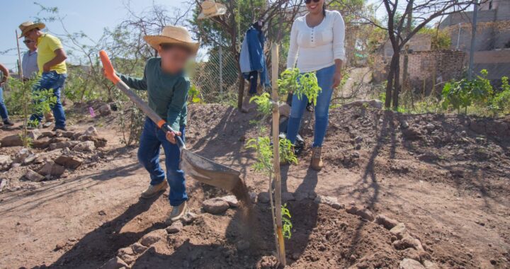 Autoridades capitalinas reforestan la unidad deportiva de la Yerbabuena