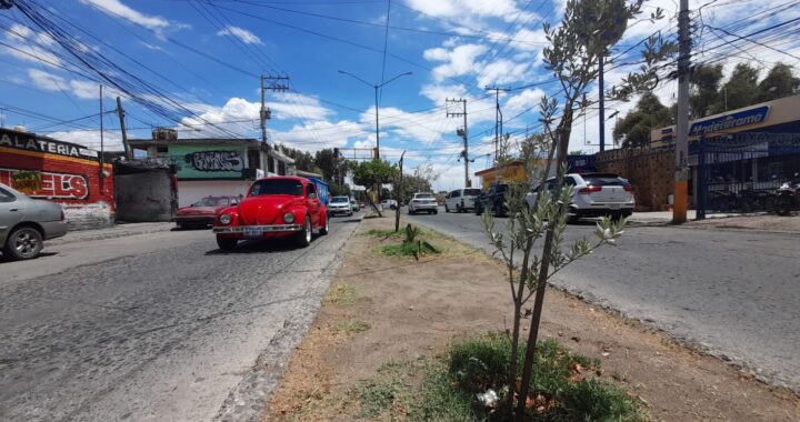 Nomina tu área verde en León, Municipio lanza convocatoria para identificar áreas forestables