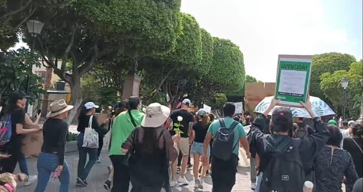 Marchan contra tala de árboles en León