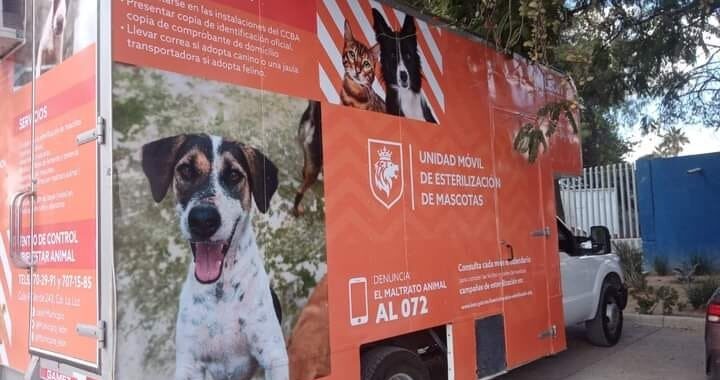 León lidera en esterilización de mascotas a nivel nacional