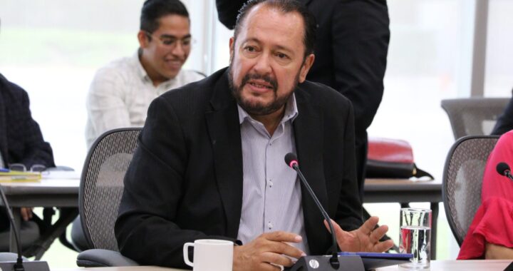 Morena solo busca hacer teatro con el FIDESSEG