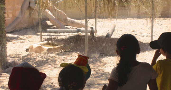 Prepara tu cámara y tu talento el Zoológico de León invita a concurso de fotografía