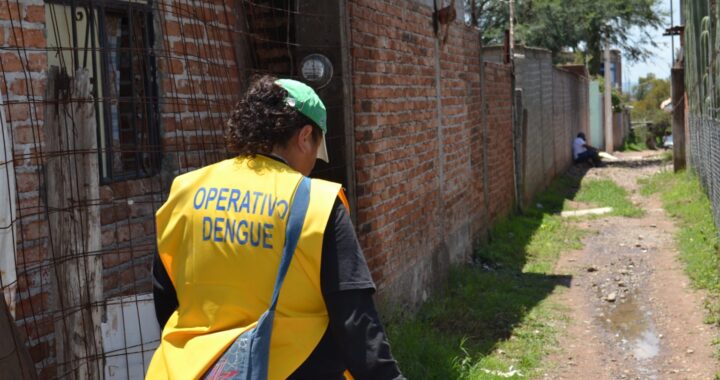 Ya son 34 casos de dengue registrados en Guanajuato, informó secretaría de Salud