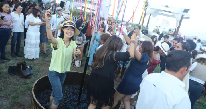 Celebran Vendimia Vinícola El Paraíso y Viñedo Toyan