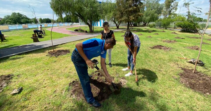 Busca la capital cuidar la paleta vegetal para que cada arbolito florezca