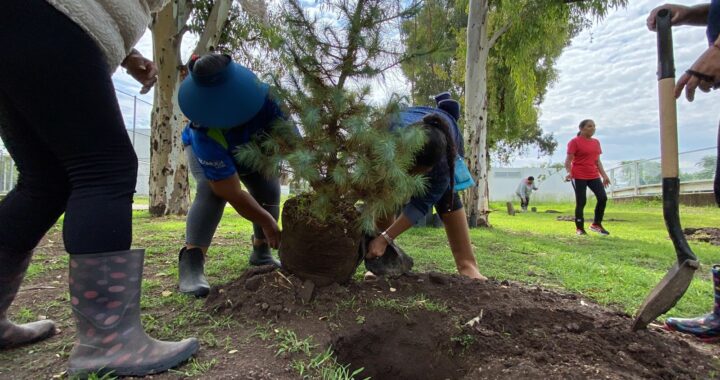 Plantan mil 500 árboles para el combate al cambio climático