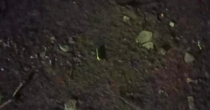 Lesionan a hombre con impactos de arma de fuego y fallece en el hospital