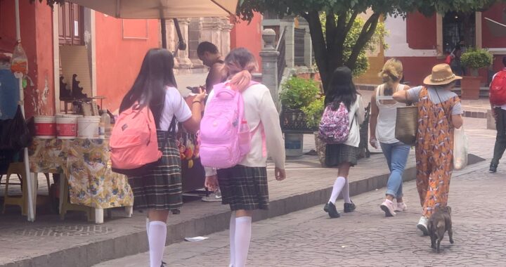 En 2024 hubo 33 denuncias por agresiones de tipo sexual en escuelas guanajuatenses
