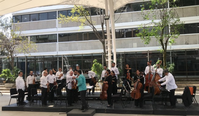 La Orquesta de Cámara de Bellas Artes ofrecerá conciertos sociales con el ciclo La OCBA contigo