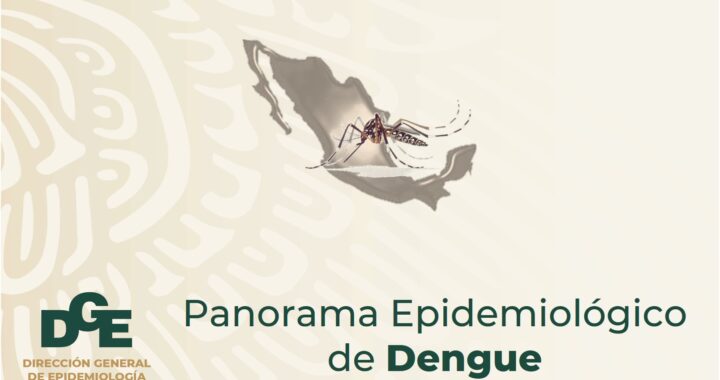 Incrementan a 80 los casos confirmados de dengue en Guanajuato