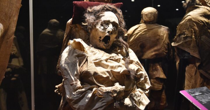 Visitan más de 31 mil personas el Museo de las Momias del 1 al 25 de octubre