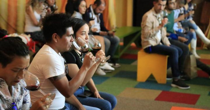 Vive Mientras Tanto Un Vino en Parque Guanajuato Bicentenario