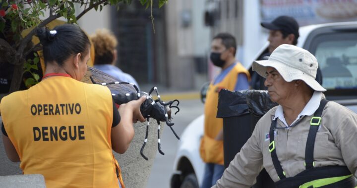 Guanajuato presenta más de 160 casos de dengue