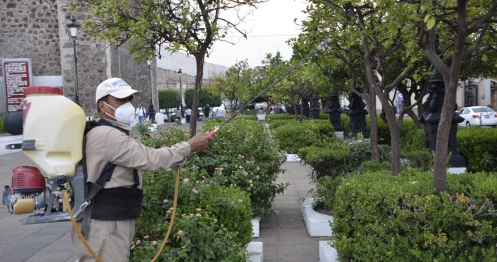Invierten 11MDP en insecticida para dengue