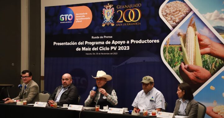 Destinan 256MDP para apoyar a cultivos de maíz