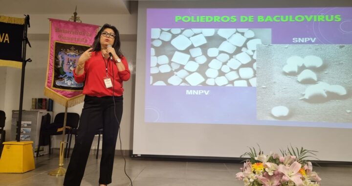 UG y SDAYR guían el control de insectos plaga con bioinsecticidas y agentes microbianos 