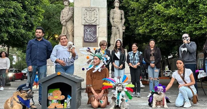 Celebran 3er concurso perrón de disfraces para lomitos