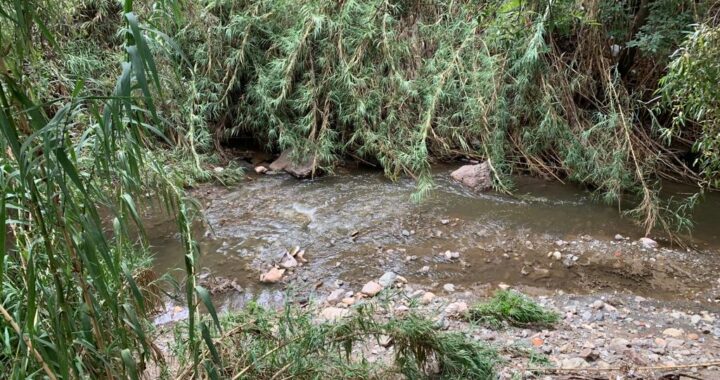 Pretenden convertir el Río Guanajuato, en un parque lineal