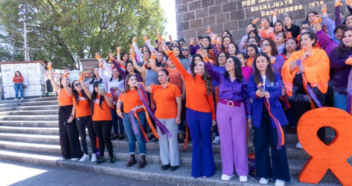 Conmemoran Día Internacional de la Eliminación de la Violencia contra la Mujer