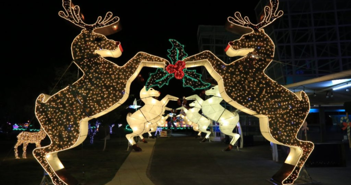 REGRESA “GUANAJUATO BRILLA” AL PARQUE GUANAJUATO BICENTENARIO