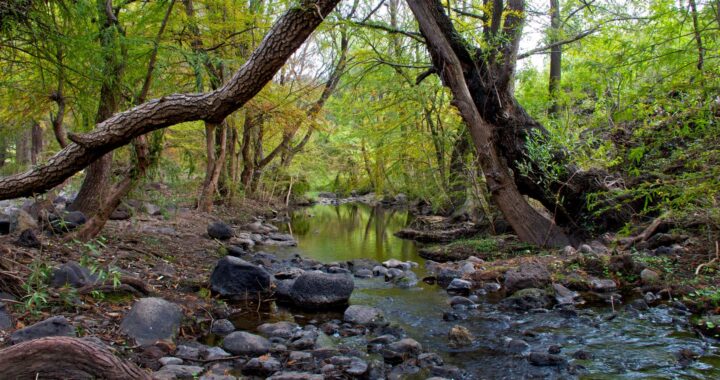 Llama diputada a actuar con responsabilidad ambiental durante estas vacaciones