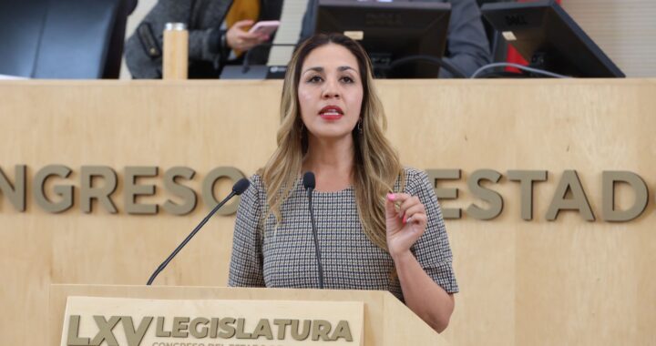 Llama Melanie Murillo a que pasajeros no viajen de pie en unidades de transporte intermunicipales