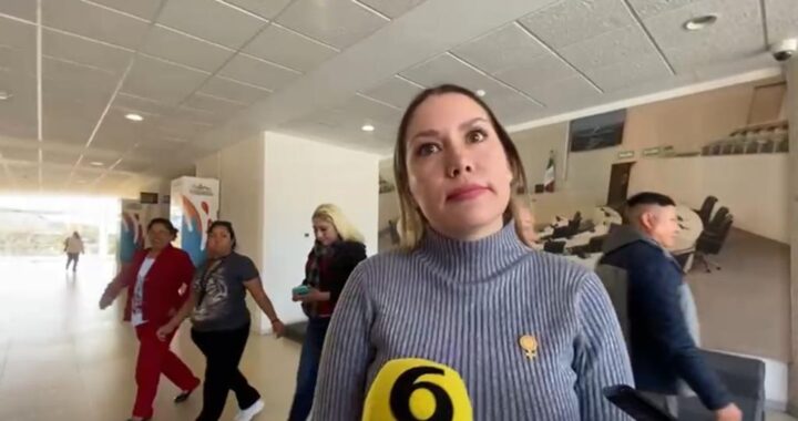 Alejandrina Lanuza va por una diputación local