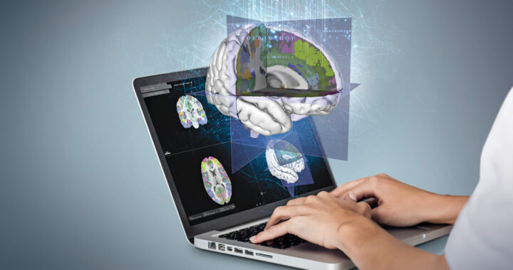 Concluyen el Proyecto Cerebro Humano*