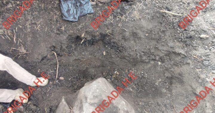 Localiza colectivo Hasta Encontrarte, 5 cuerpos en Lomas de Temazcatío, Irapuato
