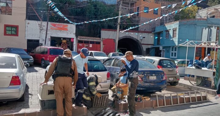 Rescatan a dos cachorros atrapados dentro de coladera en San Clemente