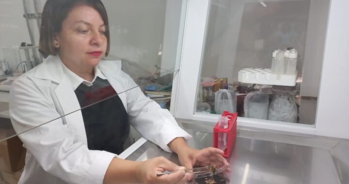 Destaca la Dra. Anareli Quintero como talento UG