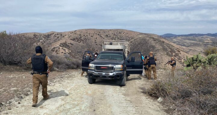 Detienen Sheriffs a tres presuntos involucrados en robo de ganado