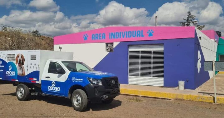 Mujer resultó con lesiones por varias mordidas de su propia jauría de perros