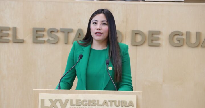Propone Verde Ecologista creación de clínicas veterinarias