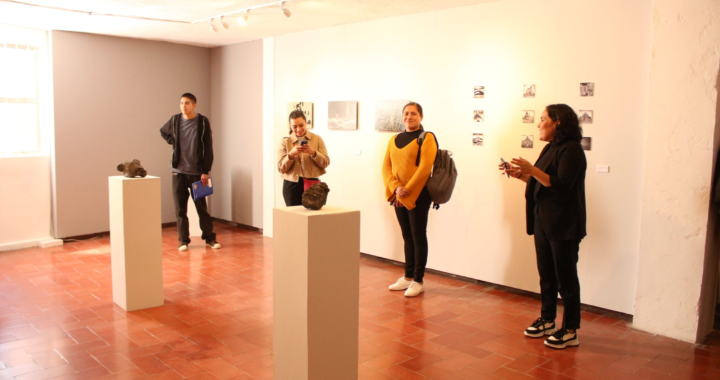 Comparte Fátima Ramírez proyecto artístico dedicado al volcán Parícutin